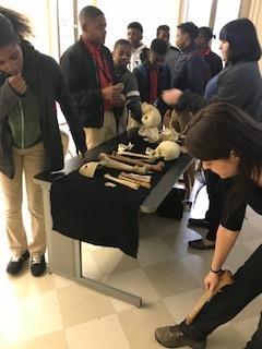 Photo of BMS students visiting the LSU Forensic Anthropology Lab
