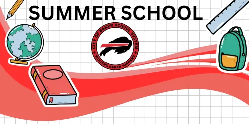 CoBSS Summer School Registration Now Open
