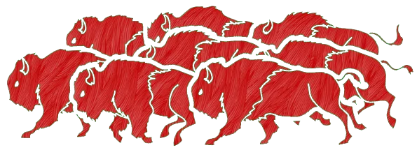buffalo herd graphic